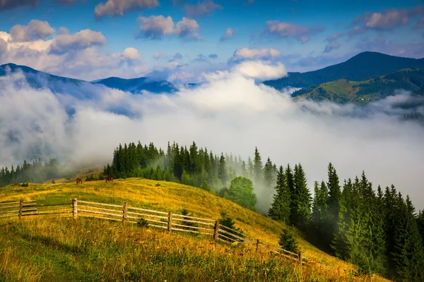 Landschap met mist en hooiberg — Stockfoto