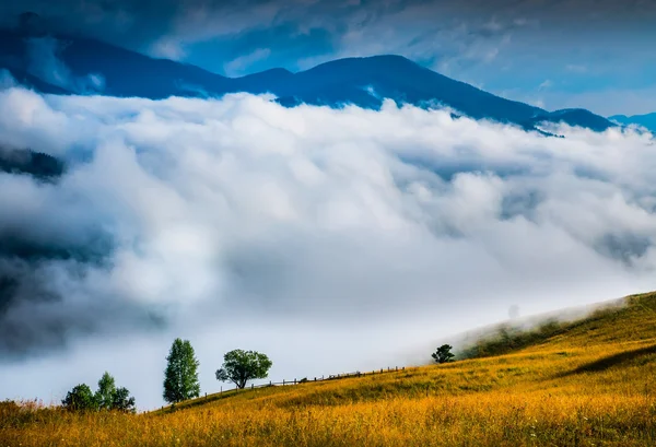 Paysage avec brouillard et botte de foin — Photo