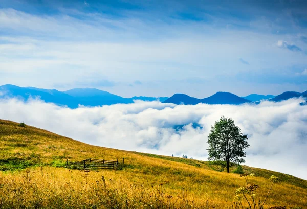 Пейзаж с туманом и стогом сена — стоковое фото