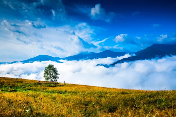 Landschap met mist en hooiberg — Stockfoto