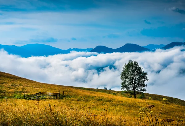 Paysage avec brouillard et botte de foin — Photo