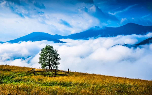 Sis ve samanlıkla kaplı bir manzara — Stok fotoğraf
