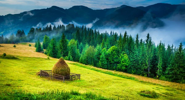 Landschap met mist en hooiberg — Stockfoto