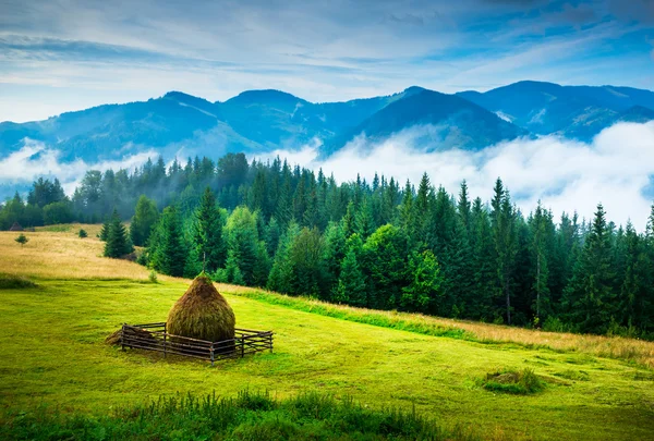 Sis ve samanlıkla kaplı bir manzara — Stok fotoğraf