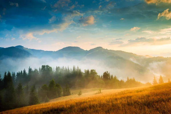 Landschap met mist en hooiberg — Stockfoto