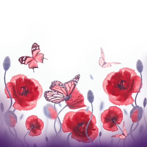 Красные маки и бабочки — стоковое фото