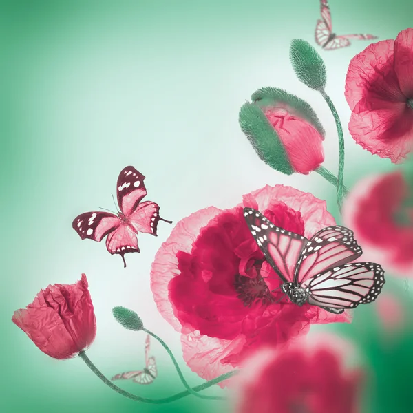 红色罂粟花和蝴蝶 — 图库照片