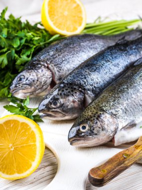 Ham nehir alabalığı