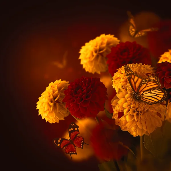 Chrysanthemen mit Fackeln, Schmetterlinge — Stockfoto