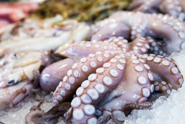 Akdeniz ahtapot ve diğer deniz ürünleri