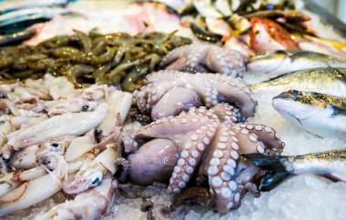 Akdeniz ahtapot ve diğer deniz ürünleri