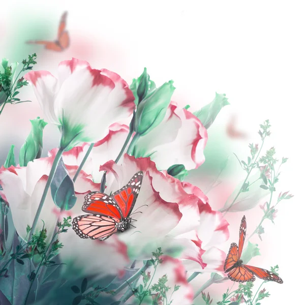 Background with roses and butterflies — Stock Photo, Image