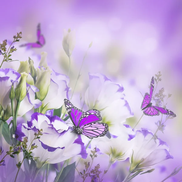 Hintergrund mit Rosen und Schmetterlingen — Stockfoto