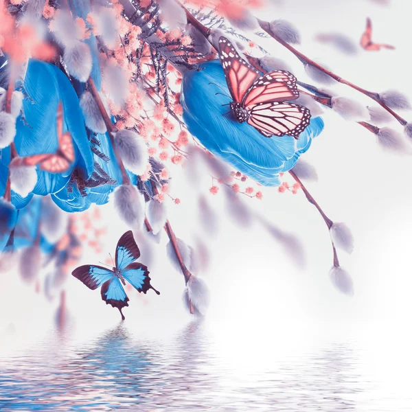 Blue tulips with mimosa and butterflies — Stock Photo, Image