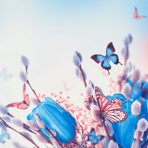 Blue tulips with mimosa and butterfly — Stock Photo, Image