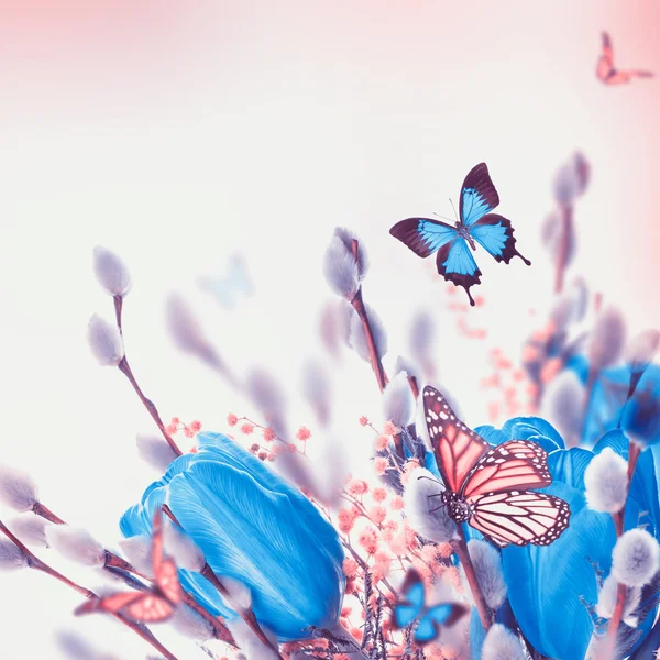 Blue tulips with mimosa and butterfly — Stock Photo, Image