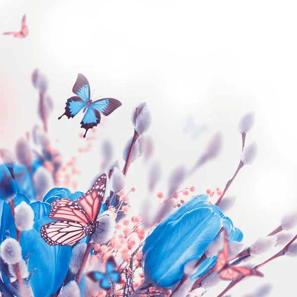 Blaue Tulpen mit Mimosen und Schmetterling — Stockfoto