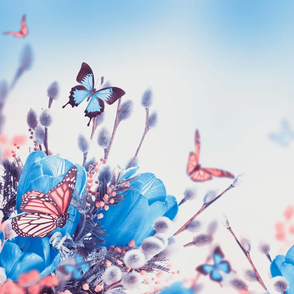 Blå tulpaner med mimosa och fjäril — Stockfoto