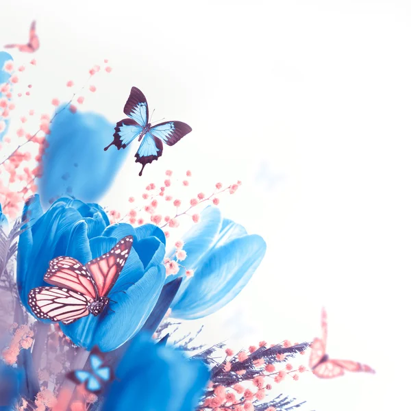 Blue tulips with mimosa and butterflies — Stock Photo, Image