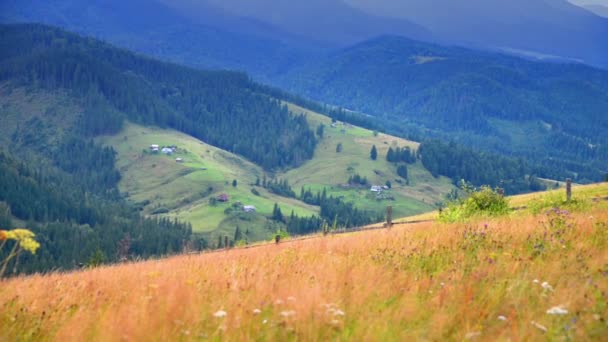 Video paisaje alpino, mañana en las montañas — Vídeos de Stock