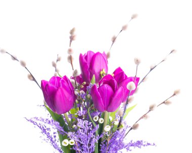 Mimoza çiçekli laleler