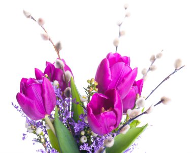 Mimoza çiçekli laleler