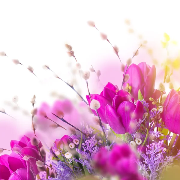 Tulipanes con flores de mimosa — Foto de Stock