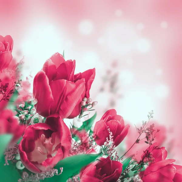 Тюльпаны с цветами мимозы — стоковое фото
