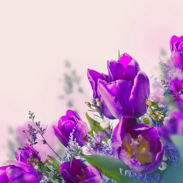 Tulpen met mimosa bloemen — Stockfoto