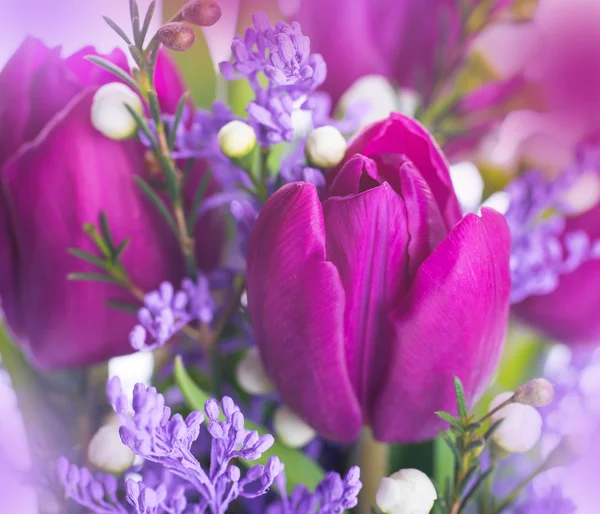 Tulipes aux fleurs de mimosa — Photo