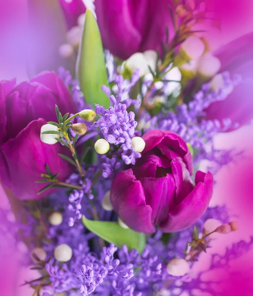ミモザの花チューリップ — ストック写真