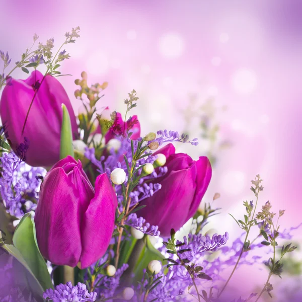 Tulips with mimosa flowers — Stock Photo, Image