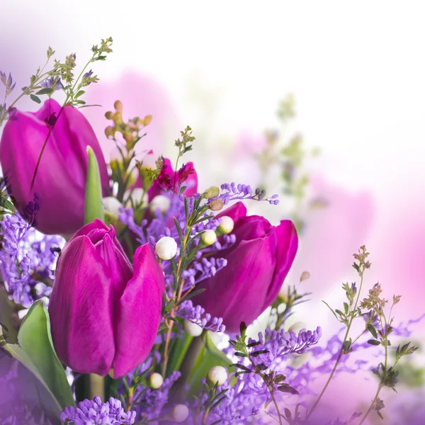 Tulips with mimosa flowers — Stock Photo, Image