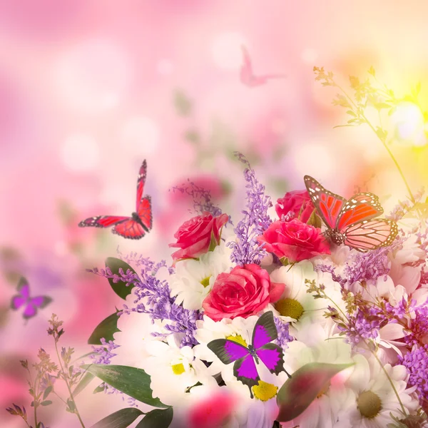 Delicate roses and butterfly — Stock Photo, Image