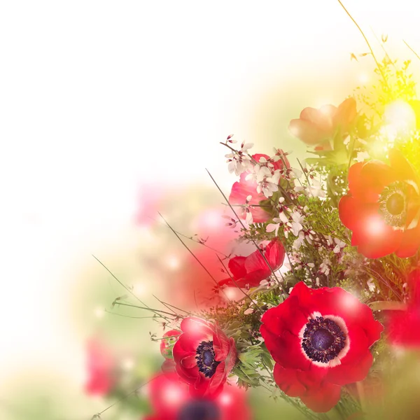 Flores de amapola y tarjeta de follaje —  Fotos de Stock