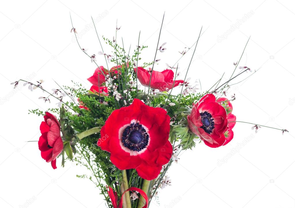 Poppy flowers and foliage card