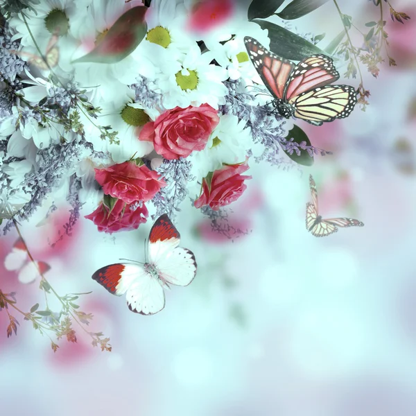 Ramo de delicadas rosas y mariposas —  Fotos de Stock
