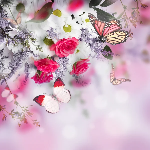 Bouquet of delicate roses and butterfly — Stock Photo, Image