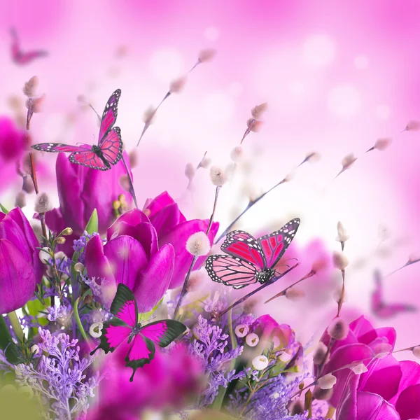 Blaue Tulpen mit Mimosen — Stockfoto