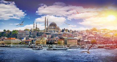 Istanbul the capital of Turkey clipart