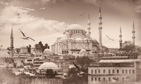 Istanbul the capital of Turkey — Stock Photo, Image