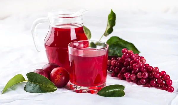 Compota de frutas frescas — Fotografia de Stock