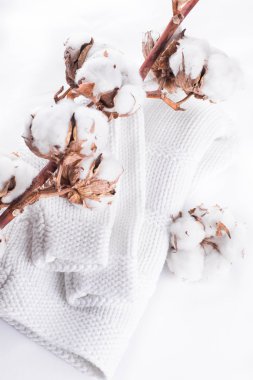 Pamuk tomurcukları ve örme kazak