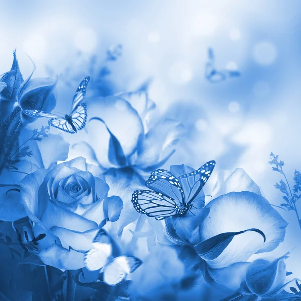 Beautiful roses and butterflies — Stock Photo, Image