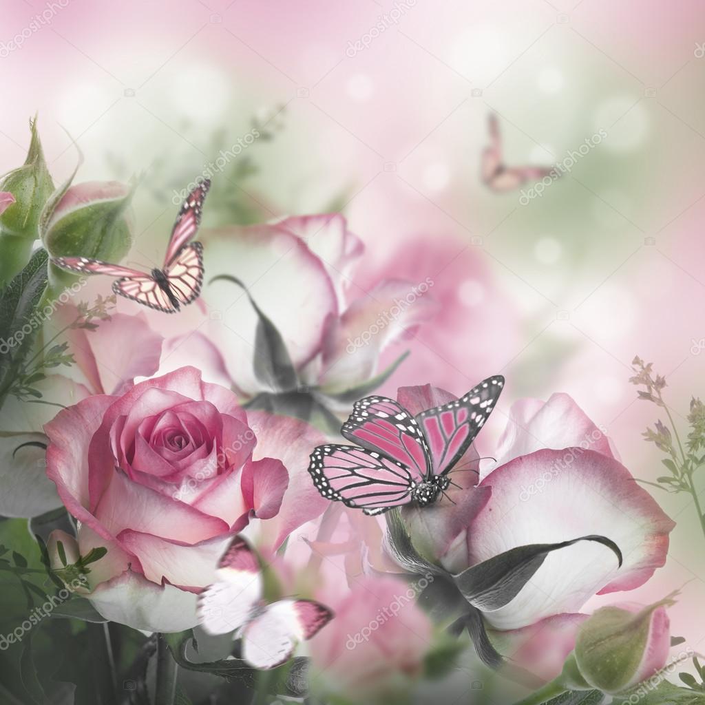 Beautiful roses and butterflies — Stock Photo © seqoya