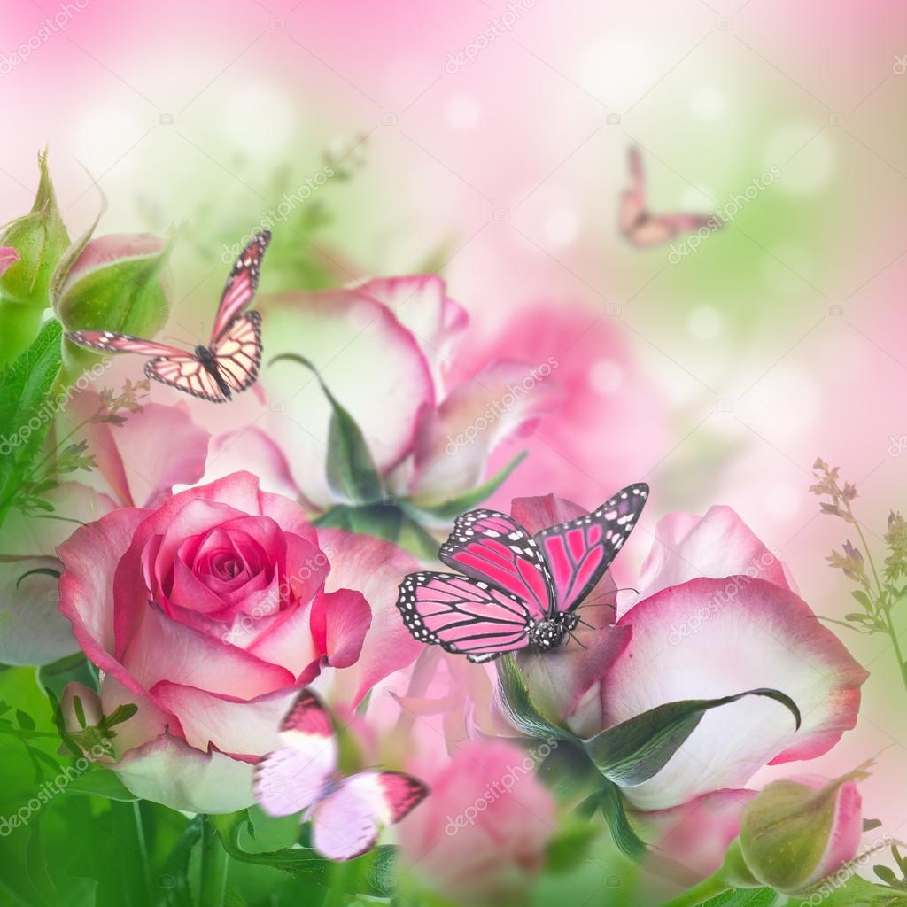 Beautiful roses and butterflies — Stock Photo © seqoya 91434020