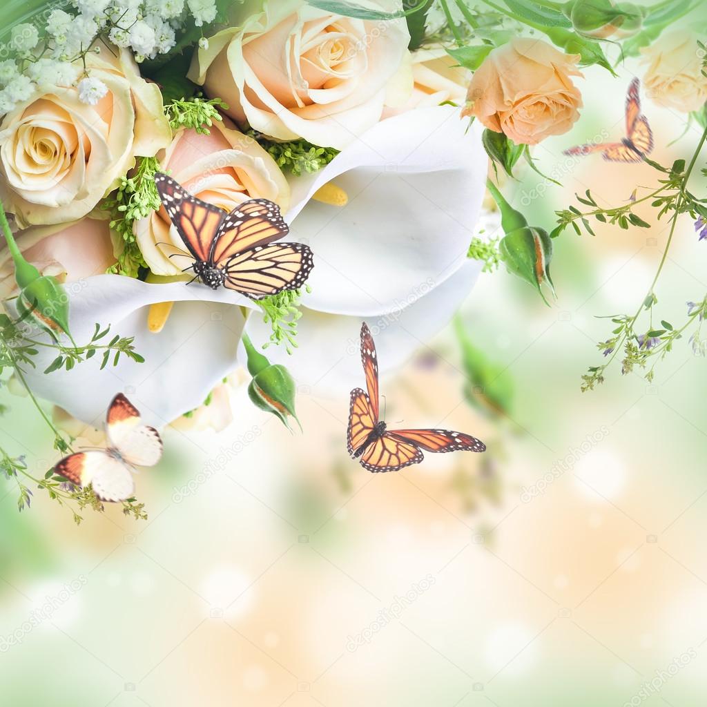 Smukke blomster og sommerfugle — Stockfoto © seqoya #91434264, image size:1024x1024