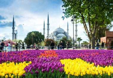 Türkiye'de Sultanahmet Camii