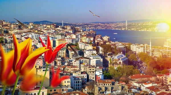 Istanbul city, Turkiet — Stockfoto