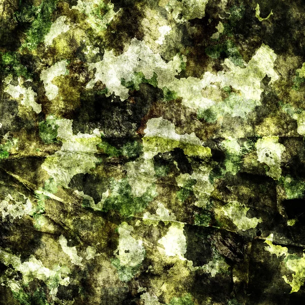 kamuflaj askeri geçmişi